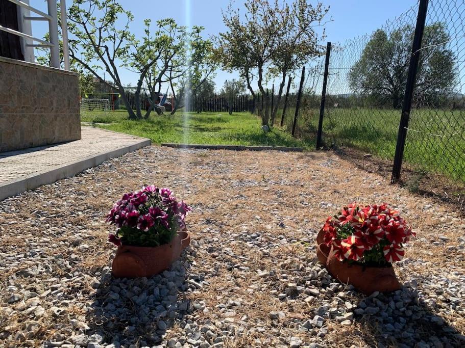 Villa ,,Sea Breeze,, - Home By The Sea Néa Ankhíalos Eksteriør bilde
