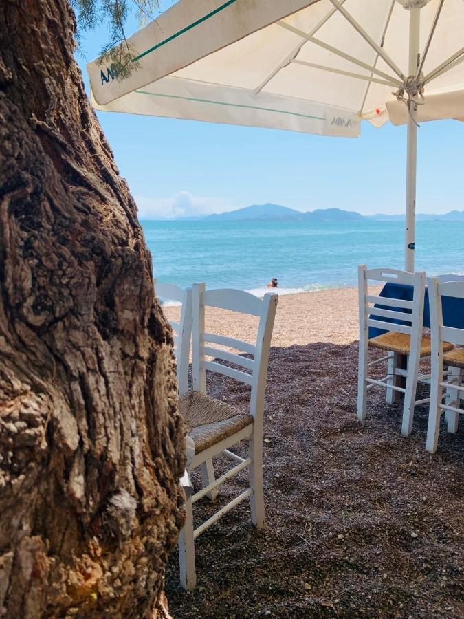 Villa ,,Sea Breeze,, - Home By The Sea Néa Ankhíalos Eksteriør bilde