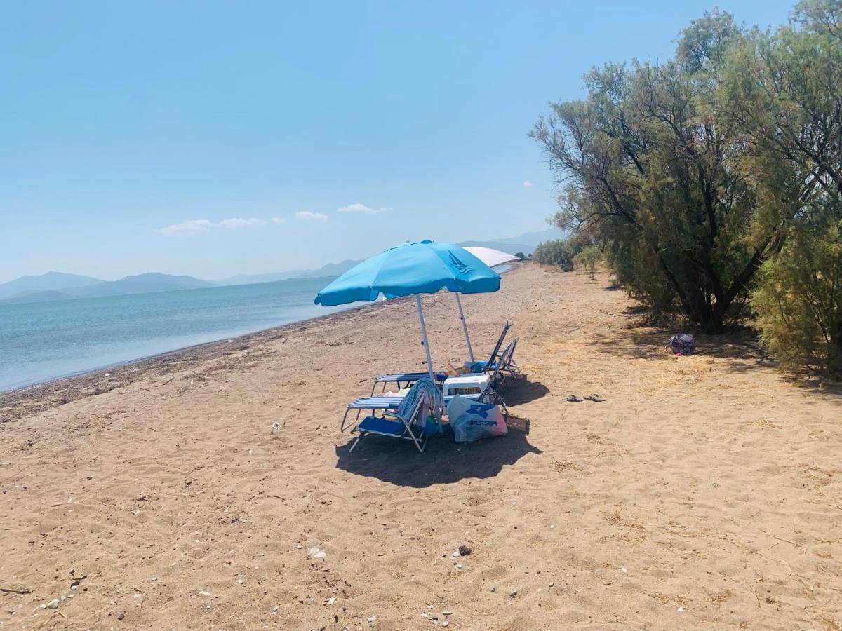 Villa ,,Sea Breeze,, - Home By The Sea Néa Ankhíalos Eksteriør bilde