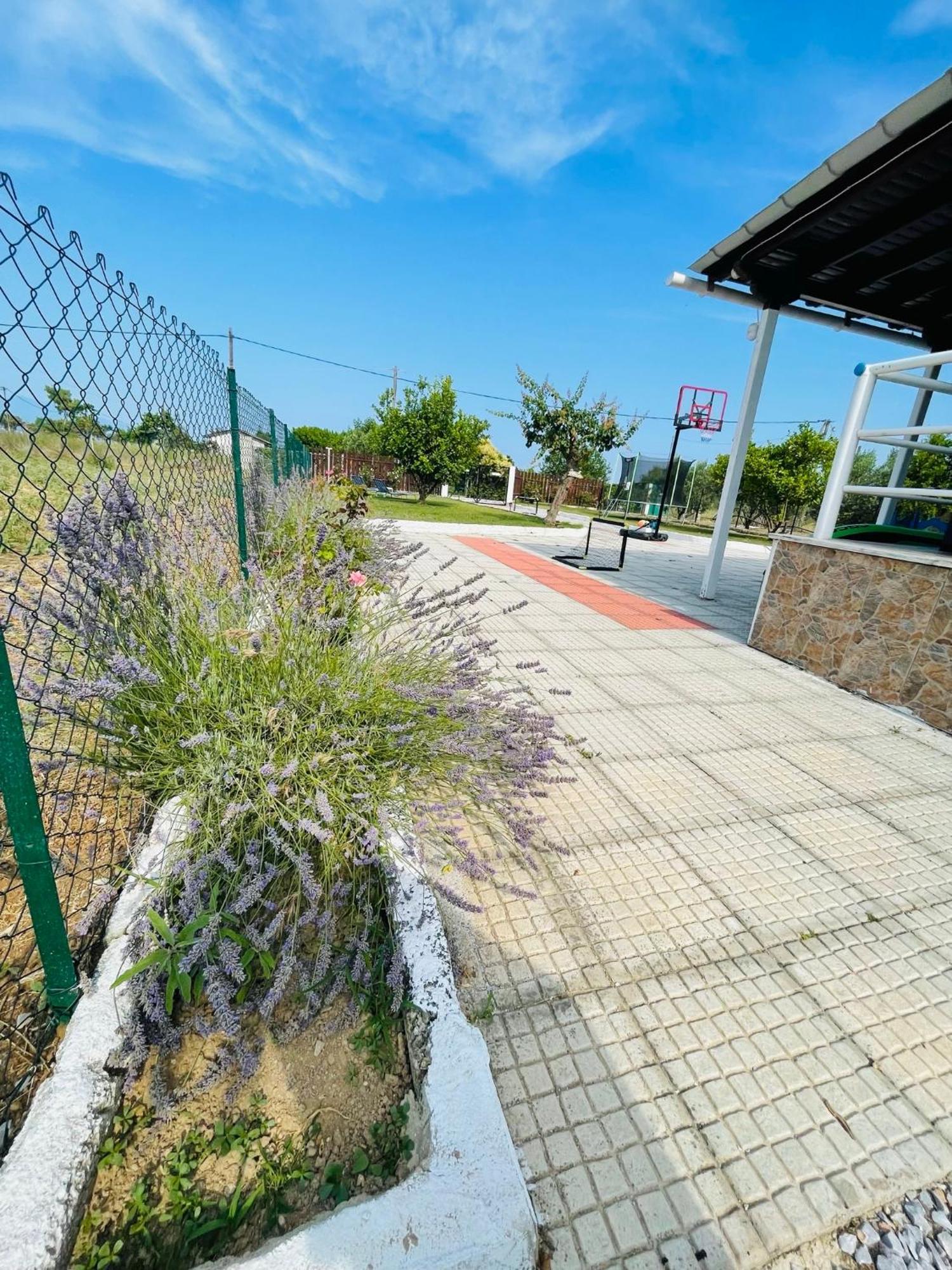 Villa ,,Sea Breeze,, - Home By The Sea Néa Ankhíalos Eksteriør bilde
